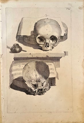 Book Id: 32056 Plate 89 (skulls & music) from Anatomia humani corporis. 522 x...