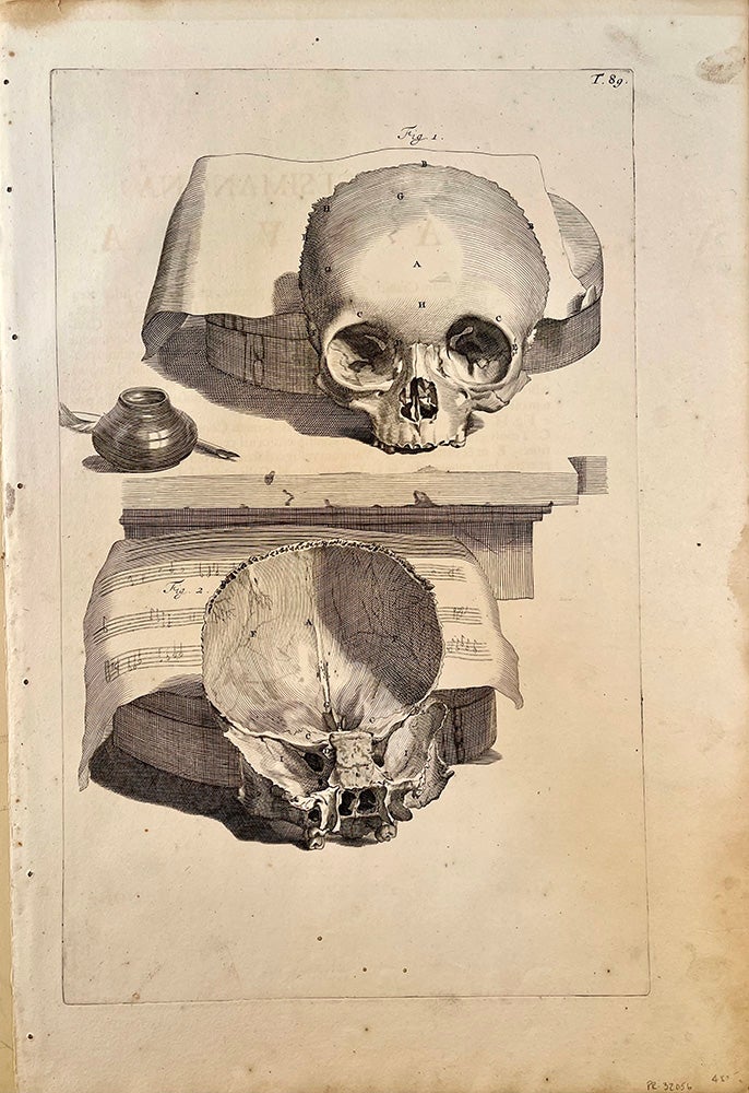 Book Id: 32056 Plate 89 (skulls & music) from Anatomia humani corporis. 522 x 358 mm. First edition. Light stains in margin, three small wormholes within the platemark not affecting the image. Govert Bidloo, Gerard de Lairesse.