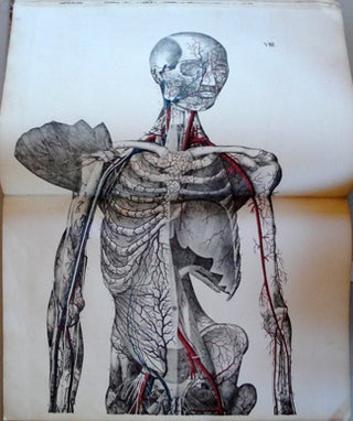 Book Id: 35149 Anatomische Abbildungen. J. Th A. Feigel