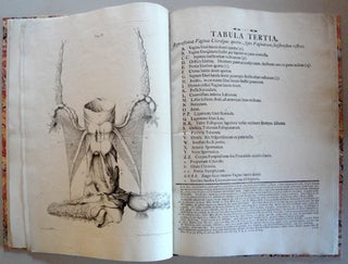 Book Id: 38139 Tabulae anatomicae quatuor uteri duplicis. Georg Heinrich Eisenmann