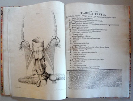 Book Id: 38139 Tabulae anatomicae quatuor uteri duplicis. Georg Heinrich Eisenmann.