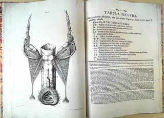 Tabulae anatomicae quatuor uteri duplicis