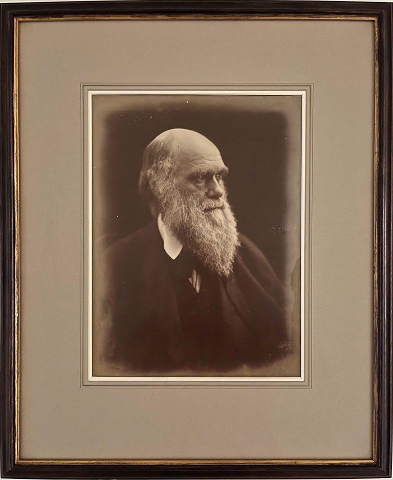 Book Id: 38849 Photograph of Darwin by Julia Margaret Cameron. Charles Darwin.