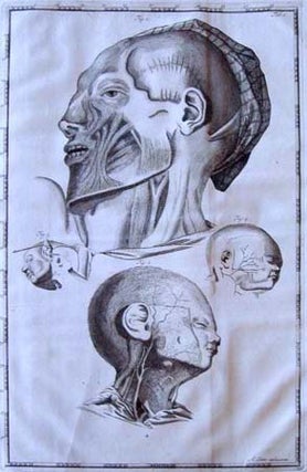 Book Id: 40092 Impetus primi anatomici ex lustratus cadaveribus nati. Arent Cant