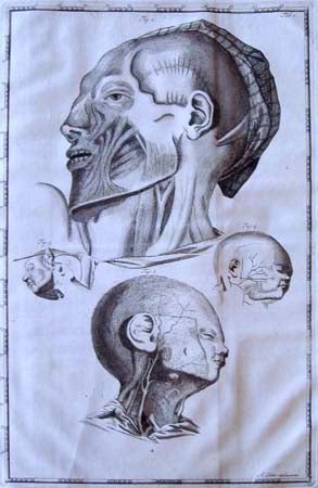 Book Id: 40092 Impetus primi anatomici ex lustratus cadaveribus nati. Arent Cant.