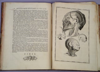 Impetus primi anatomici ex lustratus cadaveribus nati.