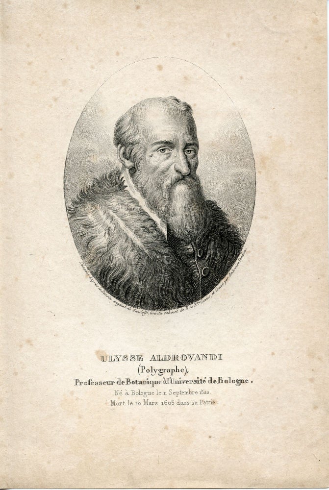 Book Id: 41203 Professeur de Botanique a l'Universite de Bologne. Engraved Portrait by Ambroise Tardieu after Gandolfi. Ulysses Aldrovandus.