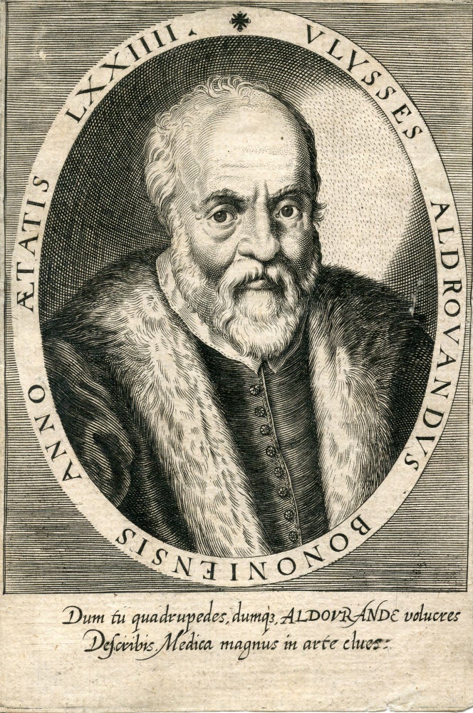 Book Id: 41205 Engraved Portrait. Ulysses Aldrovandus.