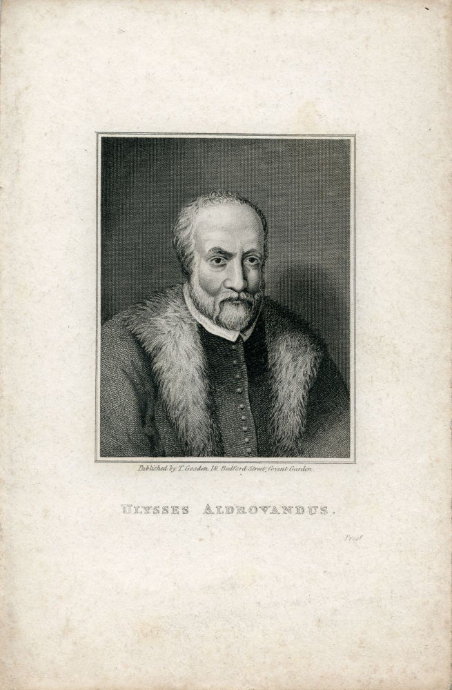 Book Id: 41206 Engraved Portrait. Ulysses Aldrovandus.