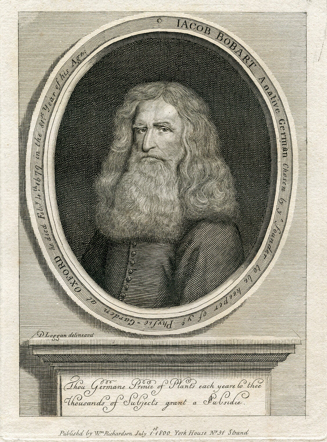 Engraved Portrait by D. Loggan | Jacob Bobart