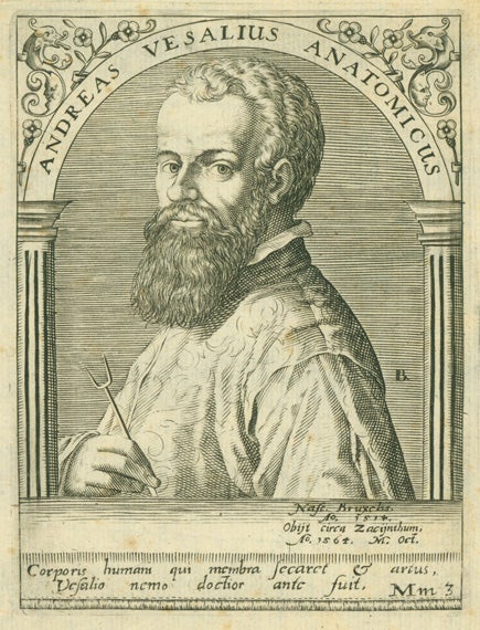 Book Id: 41543 Engraved portrait by Johann Israel de Bry from Boissard's Bibliotheca illustrium virorum. Andreas Vesalius.