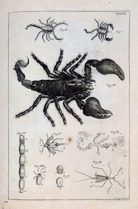 The book of nature; or, the history of insects