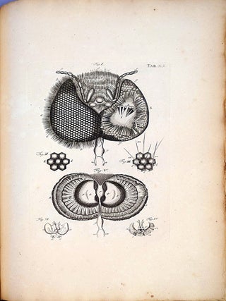 The book of nature; or, the history of insects