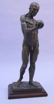 Book Id: 43386 Ecorché sculpture in bronze of a flayed male figure holding a...