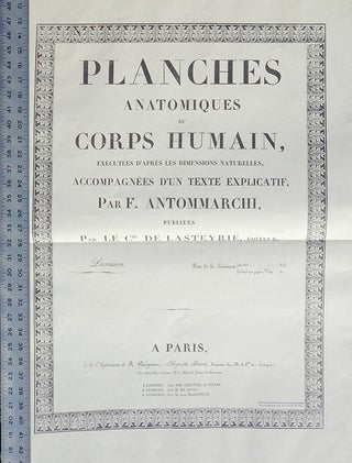 Book Id: 43552 Planches anatomique du corps humain. Atlas. Francesco...