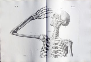 Planches anatomique du corps humain. Atlas