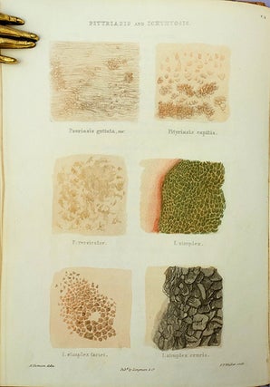 Atlas of delineations of cutaneous eruptions