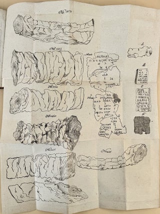 Die herkulanesnsischen Handschriften in England