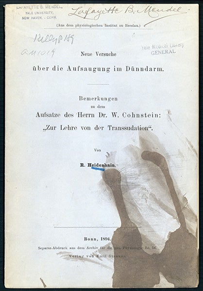 Book Id: 45200 Neue Versuche über die Aufsaugung im Dünndarm. Offprint from Lafayette B. Mendel's library. Rudolf Heidenhain.