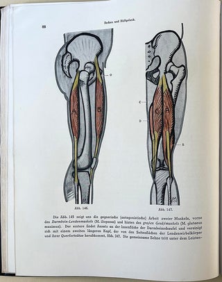 Plastische Anatomie: Die konstruktive Form des menschlichen Körpers. With the original drawings for the book's illustrations by Hermann Sachs