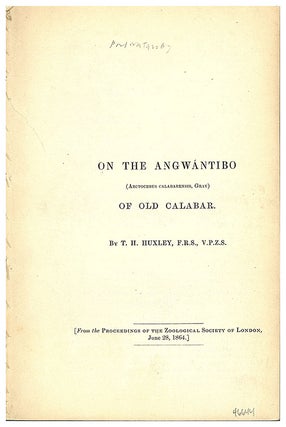 Book Id: 46644 On the Angwantibo (Arctocebus calabarensis, Gray) of old Calabar....