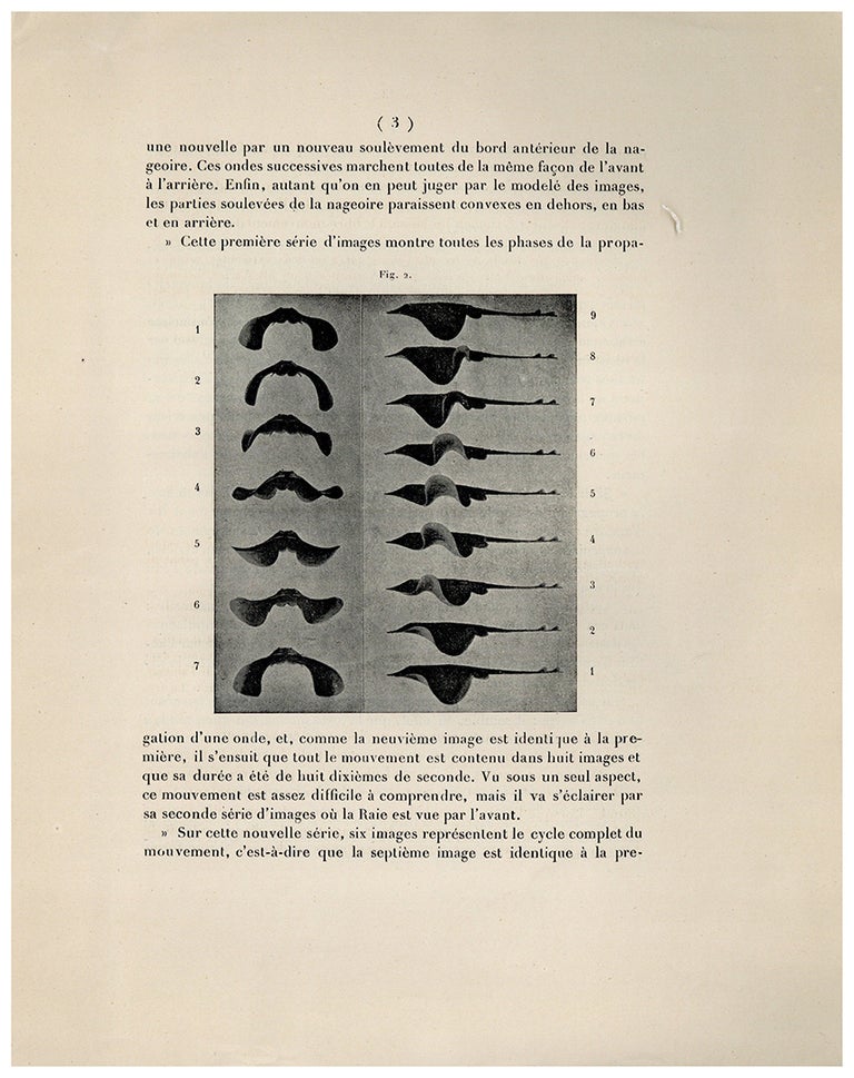 Book Id: 46663 Locomotion de l'homme. Images stereoscopiques . . . Offprint from C. r. Acad. Sci. Etienne J. Marey.