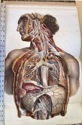 Book Id: 51128 Traité complet de l'anatomie de l'homme. 16 vols. in 14 (text...