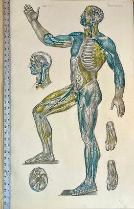 Book Id: 51129 Anatomie Clémentaire en vingt planches. Later ed. J. B. M....
