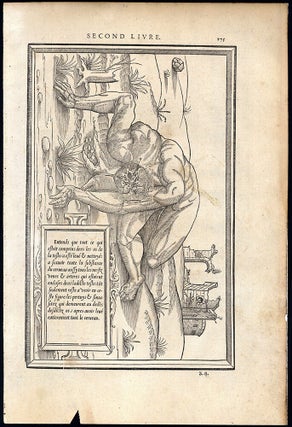 Book Id: 51814 Anatomical woodcut from "La dissection des parties du corps...