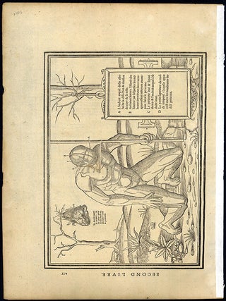 Leaf with anatomical woodcuts from "La dissection des parties du corps humain" (pp. Charles Estienne.