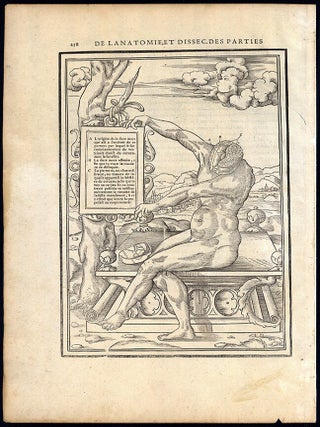 Anatomical woodcut from "La dissection des parties du corps humain" (p. 258. Charles Estienne.