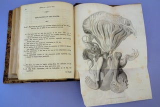 Collection of 17 18th & 19th century theses & offprints in obstetrics & gynecology from Danyau's library.